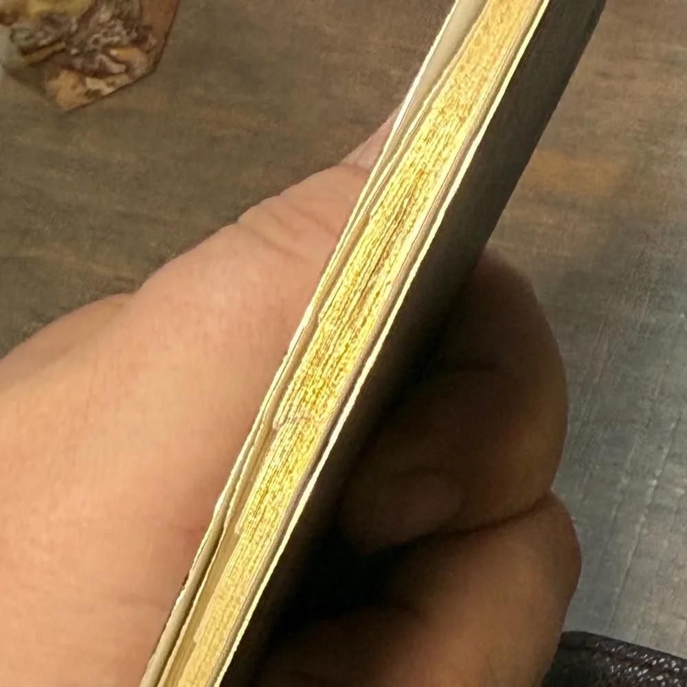 Louis Vuitton Brown Damier Ebene Notebook Cover with Snap - Picture 9 of 14